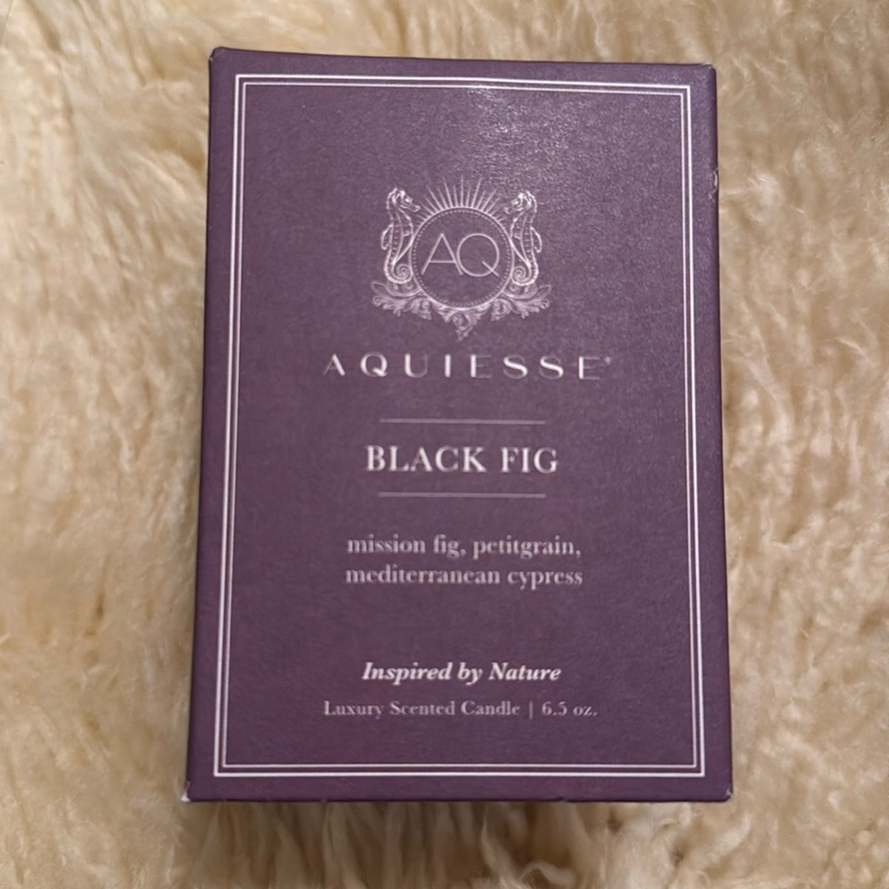 Aquiesse Blck Fig Candle